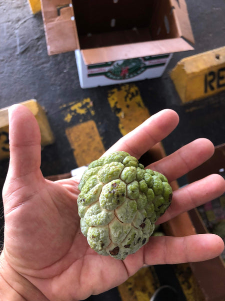 Custard Apples / Sugar Apples - Pre Order