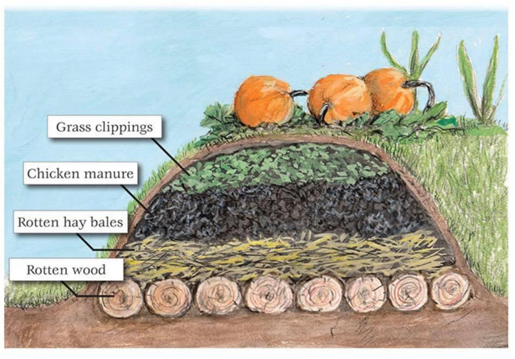 New Bee Seed Kit HappyFamilyFarmsUSA new-bee-seed-kit-happyfamilyfarmsusa