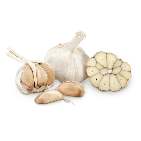 Organic Seed Garlic - German Red( variety) -untreated