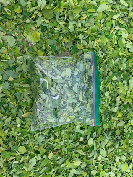 Air Dried Moringa Leaves