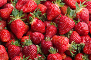 Strawberry - Monterey Strawberry saplings //Set of 8